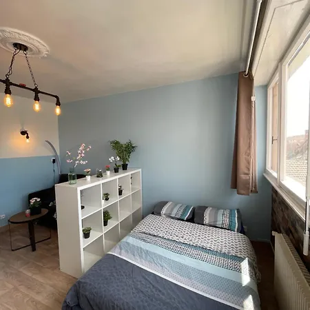 Apartment Hyper Centre - 2 - 2min Place Kleber