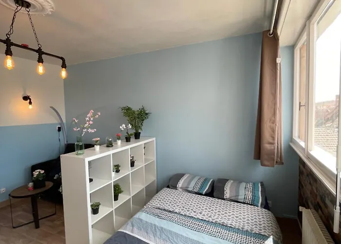 Apartamento Hyper Centre - 2 - 2min Place Kleber
